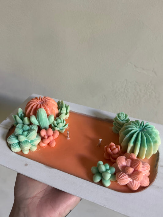 ”Cactus garden”